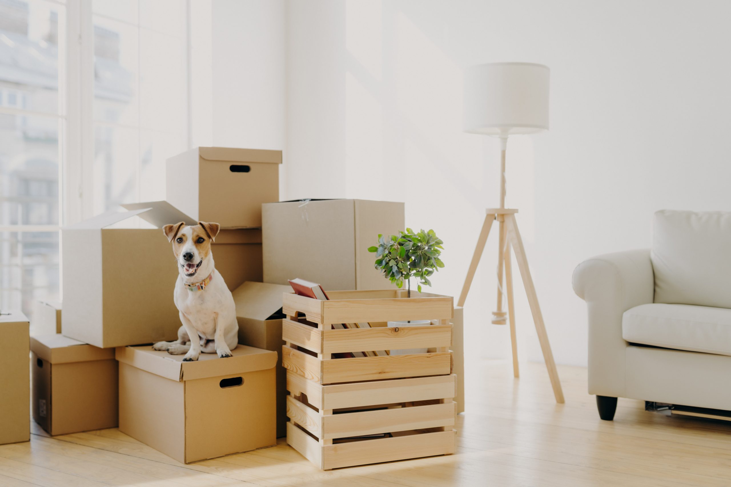 Cost of moving guide